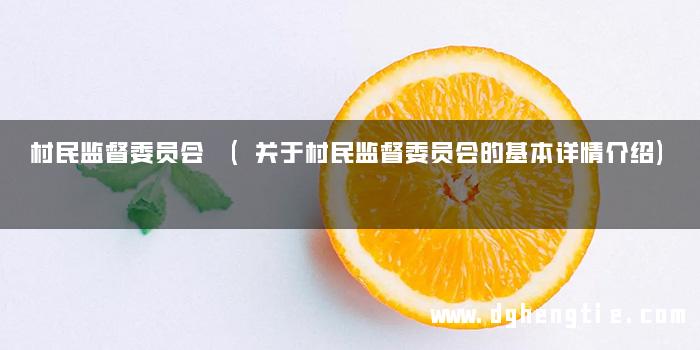 村民监督委员会 (关于村民监督委员会的基本详情介绍)
